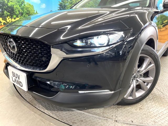 CX-30