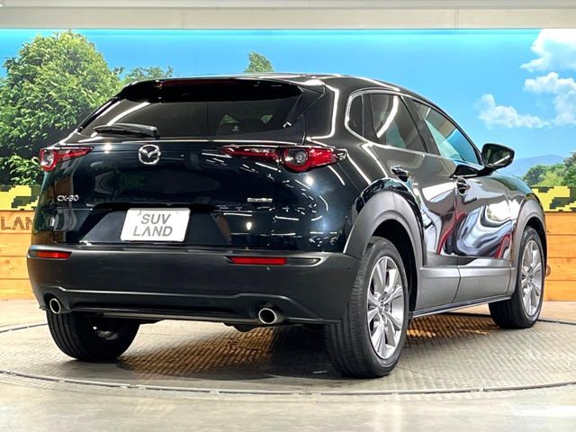CX-30