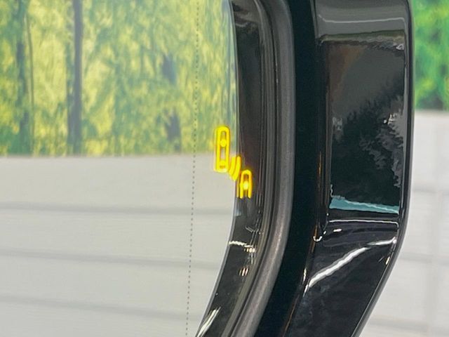 LEXUS IS300h