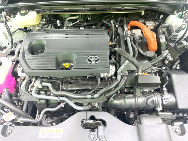 CROWN SPORT