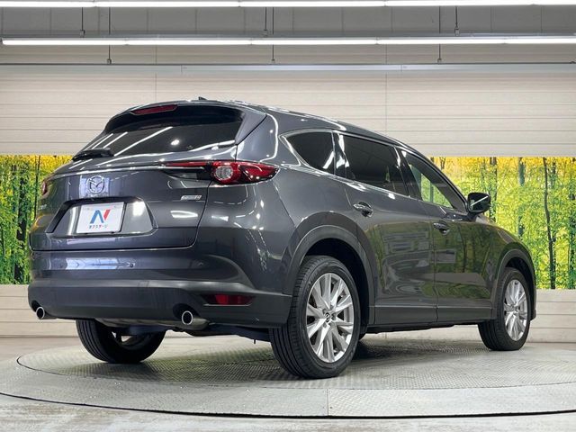CX-8
