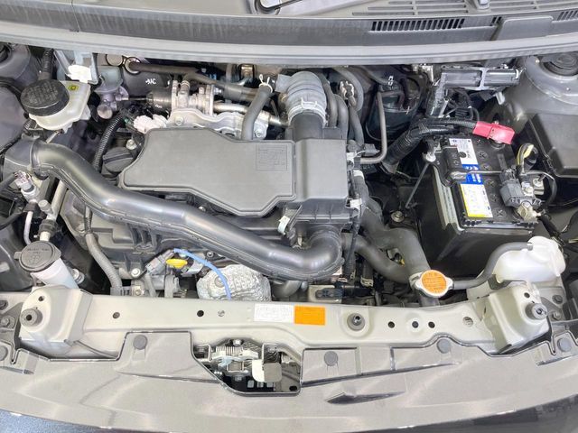 ROOMY