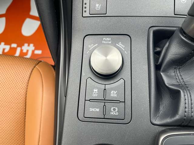 LEXUS IS300h