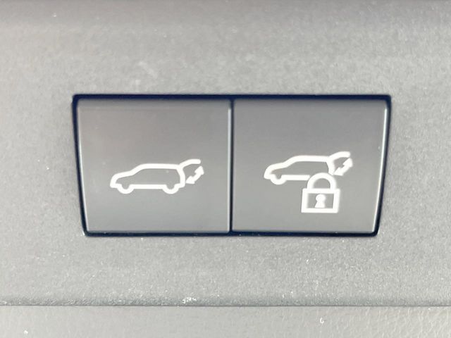 LEXUS NX350h