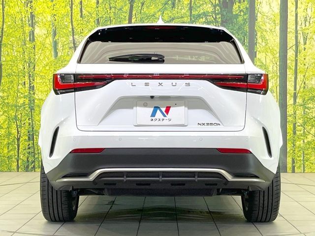 LEXUS NX350h
