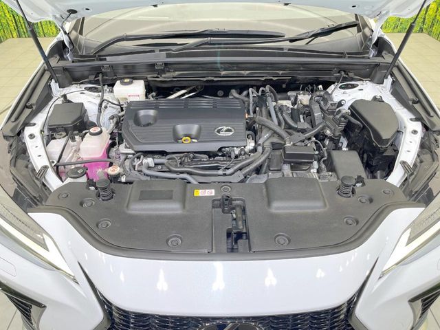 LEXUS NX350h