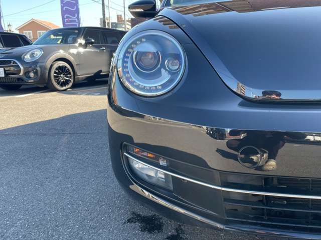 VOLKSWAGEN The BEETLE