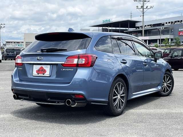 LEVORG
