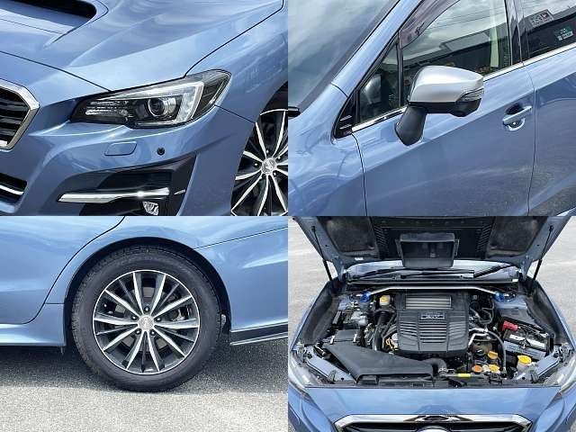 LEVORG