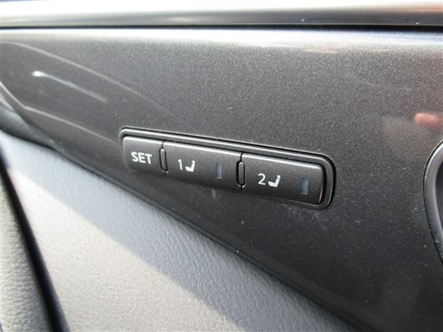 SKYLINE HYBRID