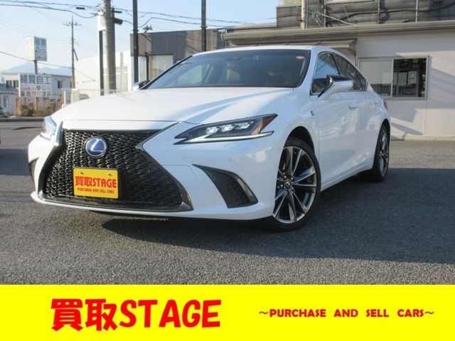 LEXUS ES300h