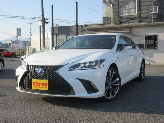 LEXUS ES300h