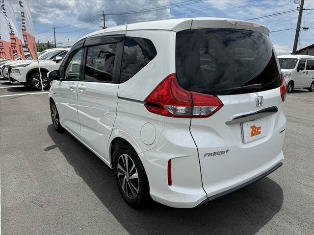 FREED plus HYBRID