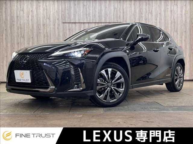 LEXUS UX250h