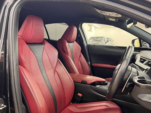 LEXUS UX250h