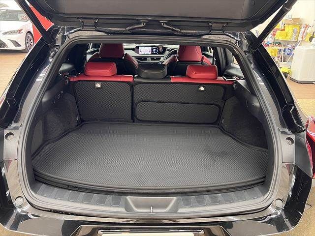 LEXUS UX250h