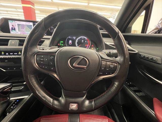 LEXUS UX250h