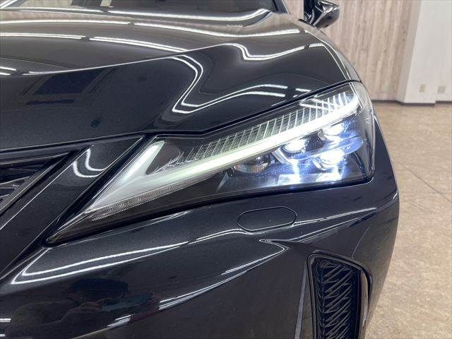 LEXUS UX250h
