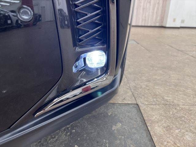 LEXUS UX250h