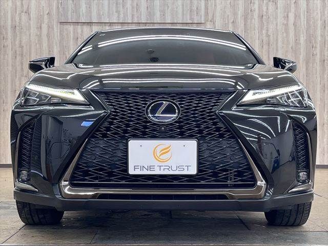 LEXUS UX250h