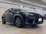 LEXUS UX250h