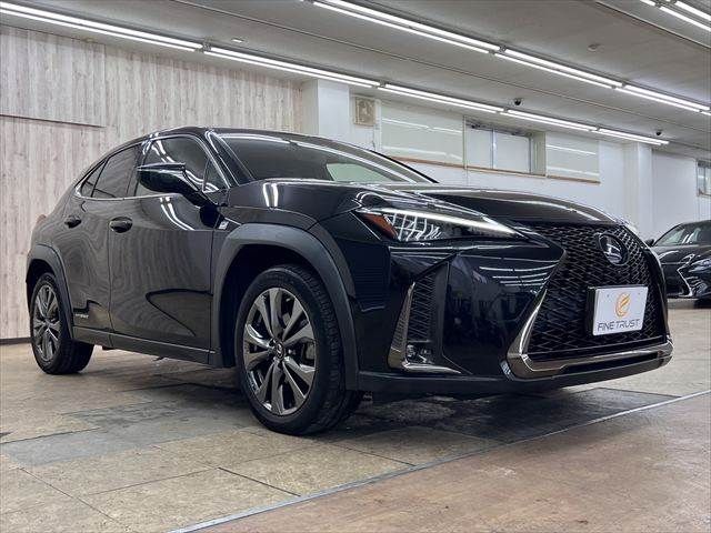 LEXUS UX250h