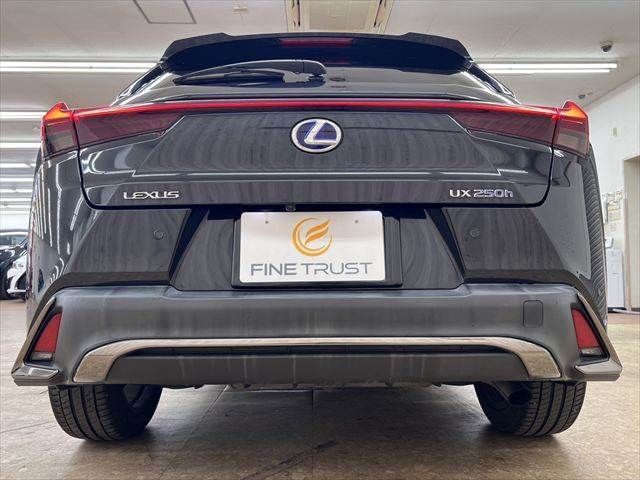 LEXUS UX250h