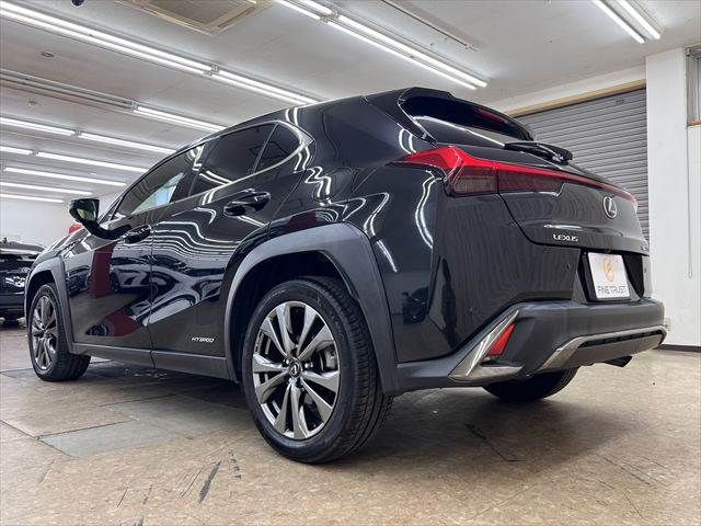 LEXUS UX250h
