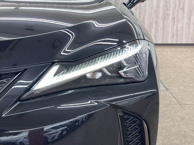 LEXUS UX250h