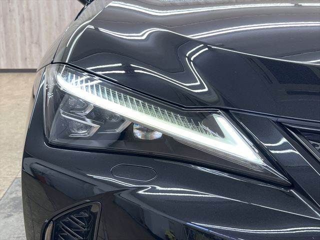 LEXUS UX250h