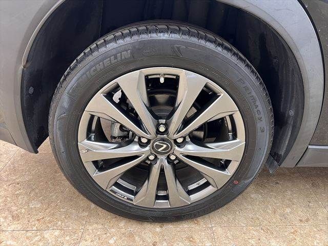 LEXUS UX250h