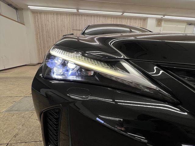 LEXUS UX250h