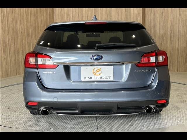 LEVORG