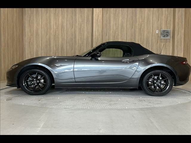 ROADSTER