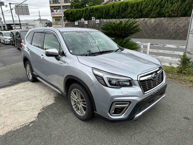 FORESTER