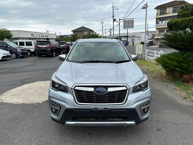 FORESTER