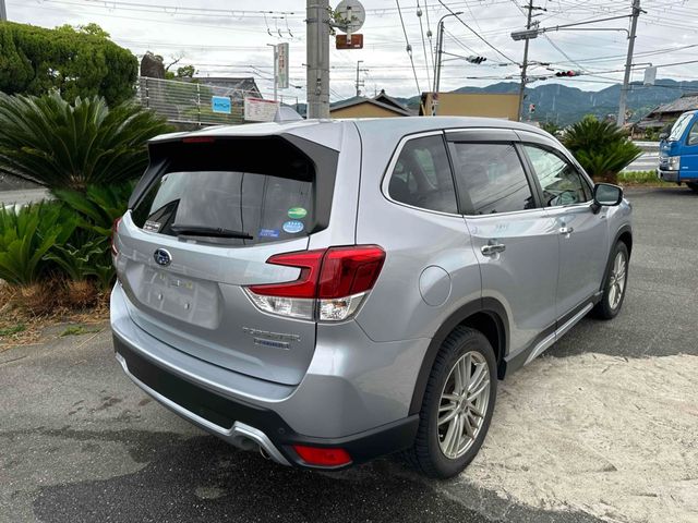 FORESTER