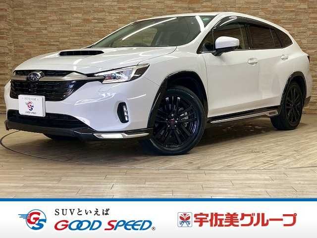 LEVORG LAYBACK