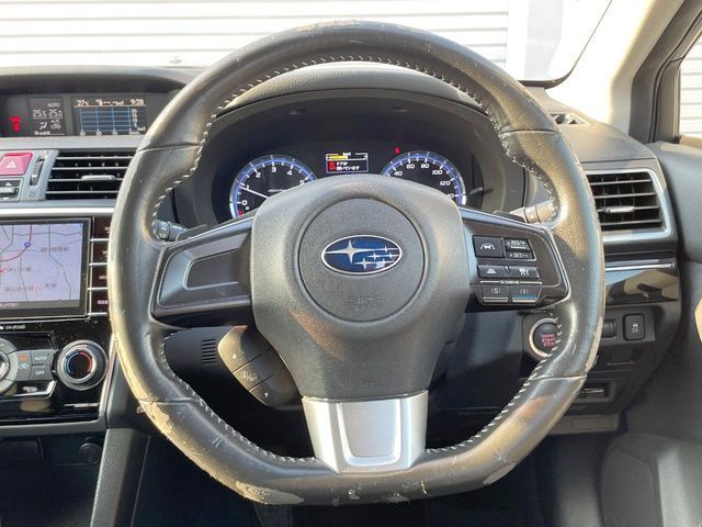 LEVORG