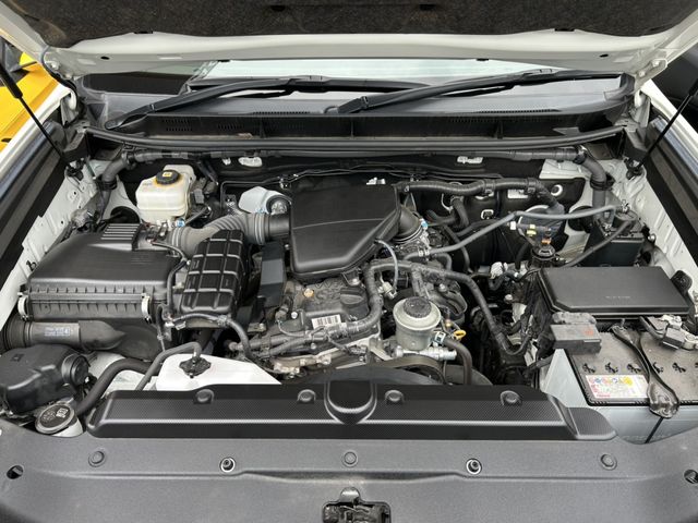 LANDCRUISER PRADO