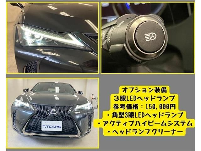 LEXUS UX250h