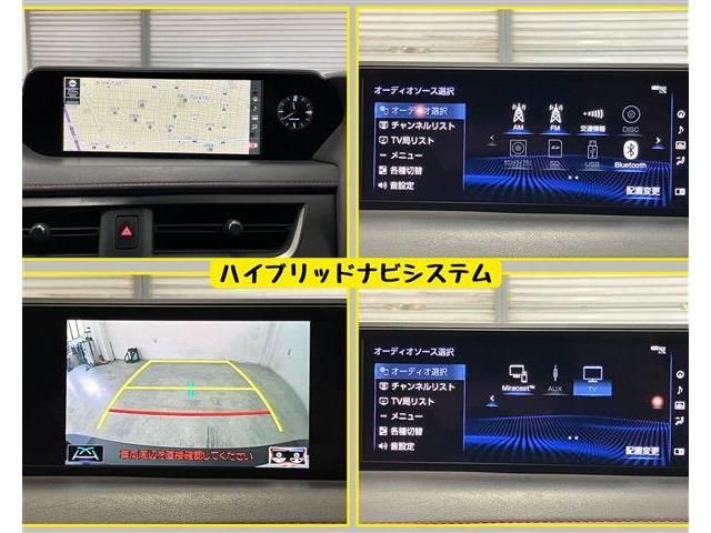 LEXUS UX250h