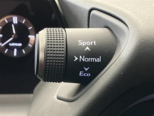 LEXUS UX250h