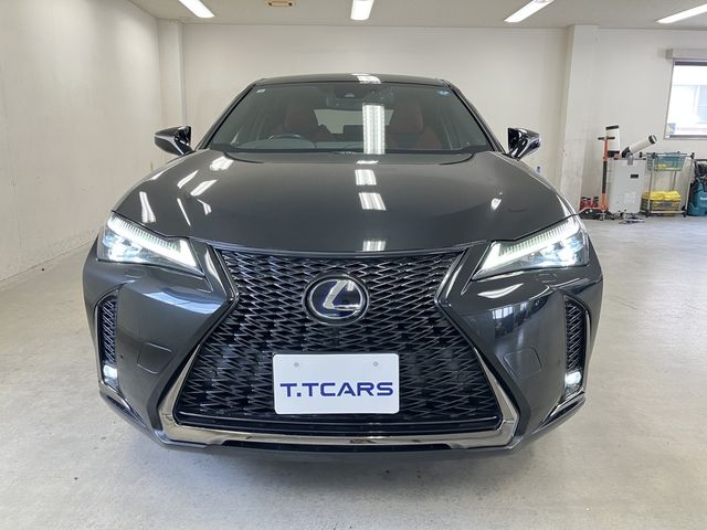 LEXUS UX250h