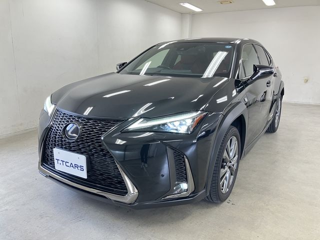 LEXUS UX250h