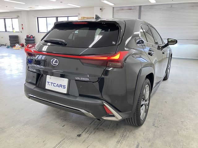 LEXUS UX250h