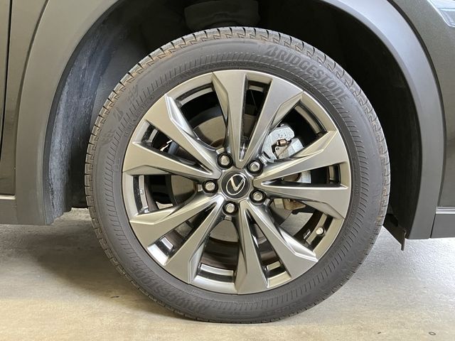 LEXUS UX250h