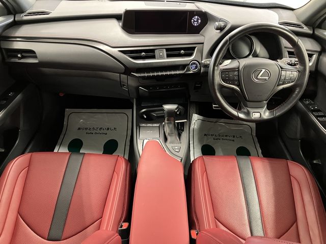 LEXUS UX250h