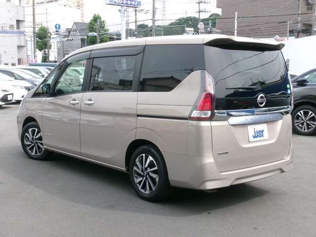 SERENA  S-HYBRID