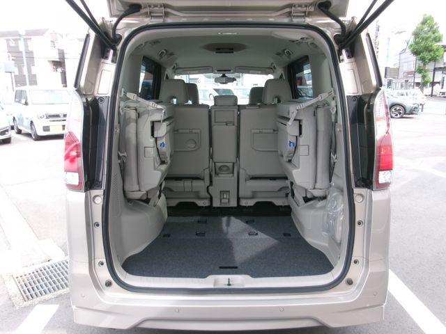 SERENA  S-HYBRID